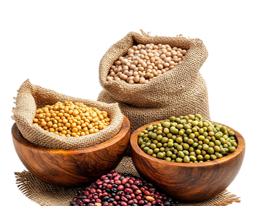 Legumes