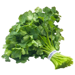 Fresh Dhania