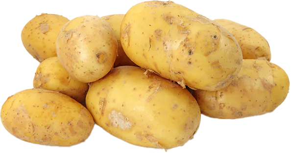  potato